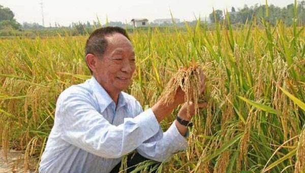 在科技不断进步下 中国近些年都取得哪些重大科技成果(图6) 在科技不断进步下 中国近些年都取得哪些重大科技成果(图6)