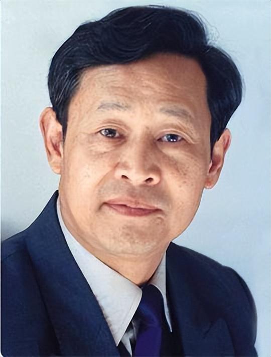 中国工程院能源与矿业工程学部资深院士简介（一）(图8)